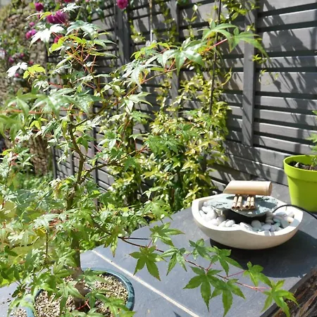 Le Beau Repaire, D'hotes, Quartier Historique, 1 A 3 Chambres, Etage Independant 3*