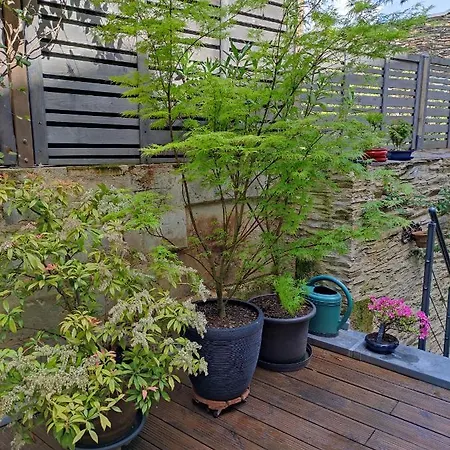 Le Beau Repaire, D'hotes, Quartier Historique, 1 A 3 Chambres, Etage Independant * Angers