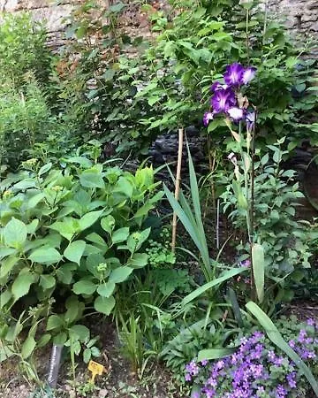 Le Beau Repaire, Chambres D'Hotes, Quartier Historique, Accueil Velos Frühstückspension