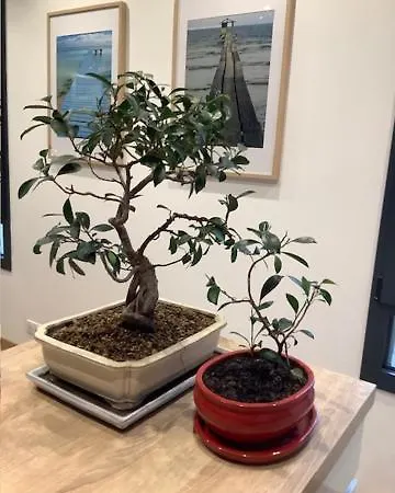 住宿加早餐酒店 Le Beau Repaire, Chambres D'Hotes, Quartier Historique, Accueil Velos 3*