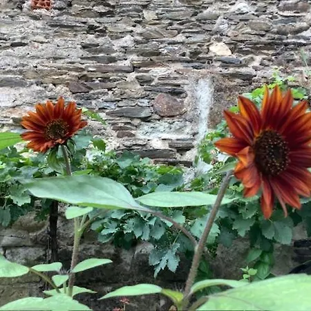 Le Beau Repaire, Chambres D'Hotes, Quartier Historique, Accueil Velos 昂热