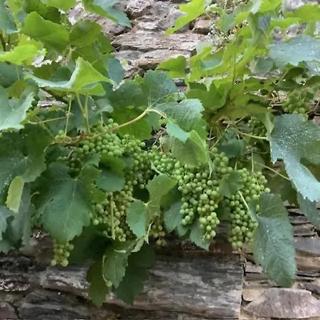 Le Beau Repaire, D'hotes, Quartier Historique, 1 A 3 Chambres, Etage Independant