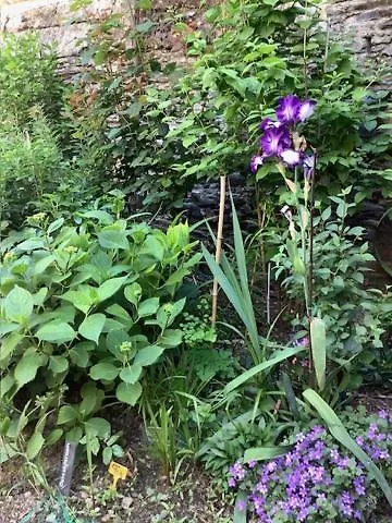 Le Beau Repaire, D'hotes, Quartier Historique, Accueil Velos ベッド・アンド・ブレックファスト