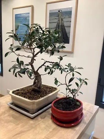 Alojamento de Acomodação e Pequeno-almoço Le Beau Repaire, D'hôtes, Quartier Historique, Accueil Vélos 3*