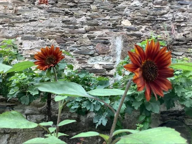 Les Augustins, Chambres D'Hotes, Quartier Historique, Accueil Velos Angers